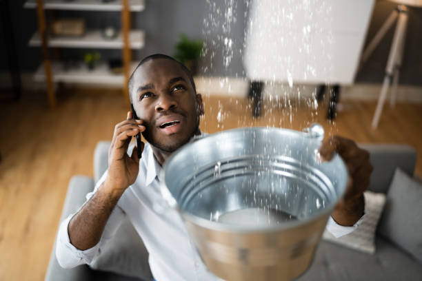Best Residential water damage restoration  in Slippery Rock University, PA