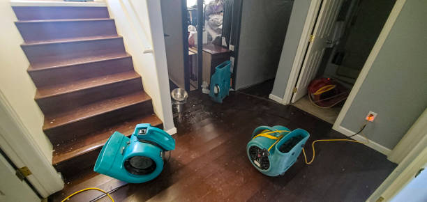 Best Local water damage restoration  in Slippery Rock University, PA