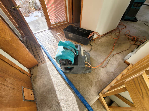 Best Water damage contractors near me  in Slippery Rock University, PA
