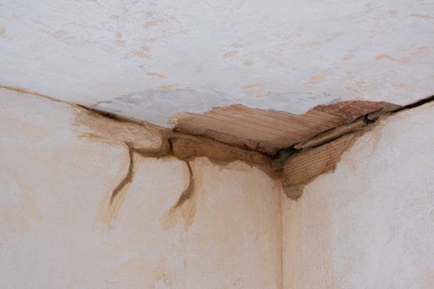 Best Fire Damage Restoration  in Slippery Rock University, PA