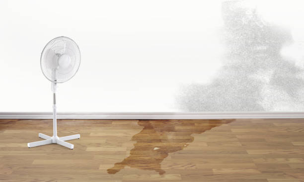 Best Water damage restoration company  in Slippery Rock University, PA