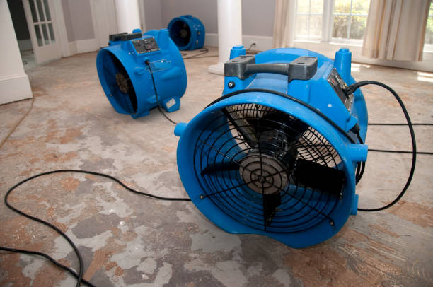 Best 24-hour water damage restoration  in Slippery Rock University, PA