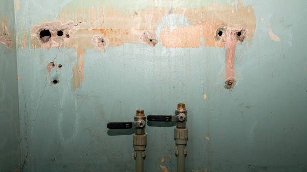 Best Flooded house restoration  in Slippery Rock University, PA