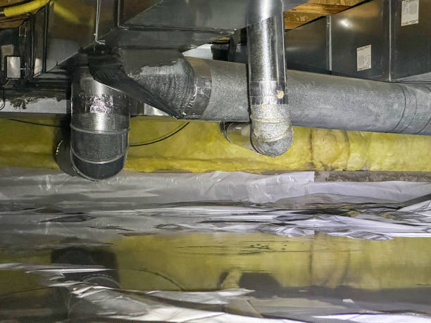 Best Basement water damage restoration  in Slippery Rock University, PA