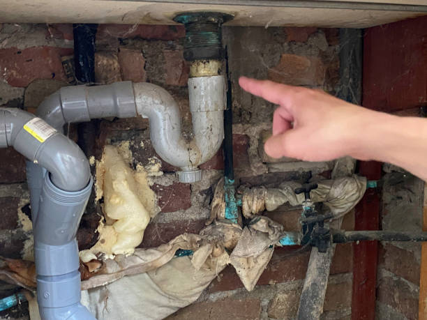 Best Basement water damage restoration  in Slippery Rock University, PA