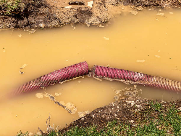 Best Professional water damage repair  in Slippery Rock University, PA