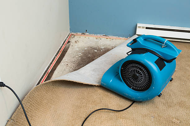 Best Flood restoration services  in Slippery Rock University, PA